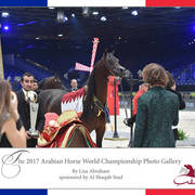 Lisa Abraham: The 2017 Arabian Horse World Championship Photo Album