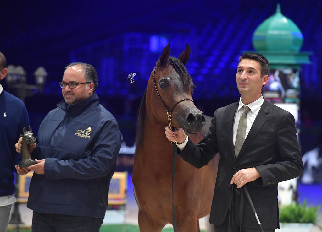 Yearling Filly: Nemesi Regalis 