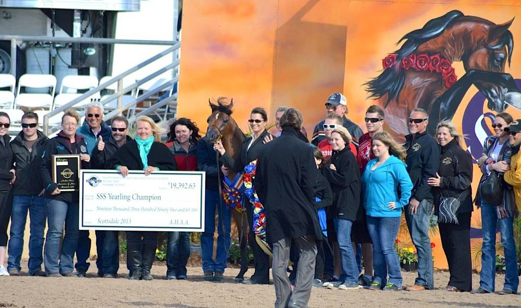 2018 Scottsdale All Arabian Horse Show