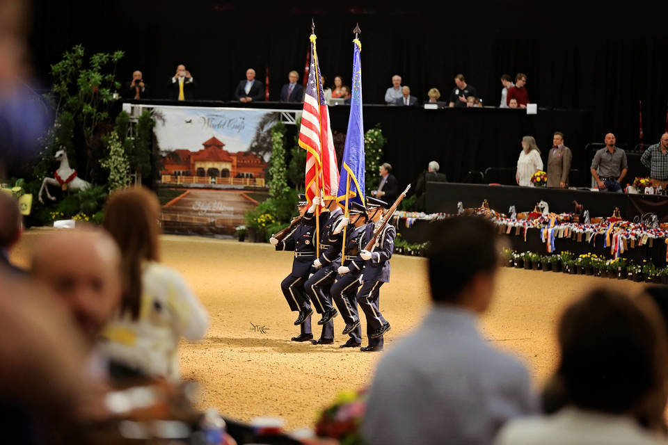 Arabian Breeders World Cup