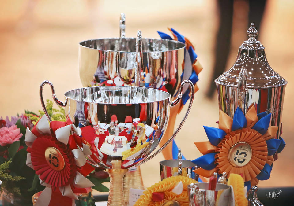 Arabian Breeders World Cup