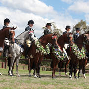 Australian Arabian National Championships 2018