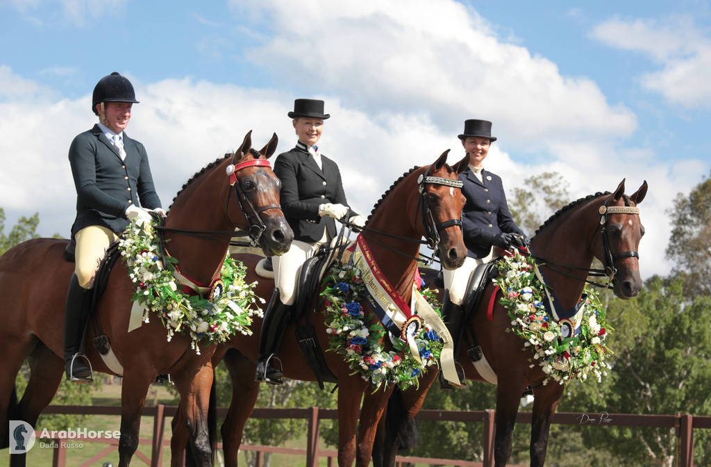 Australian Arabian National Championships 2018