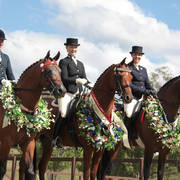 Australian Arabian National Championships 2018