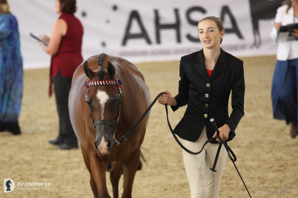 Australian Arabian National Championships 2018