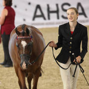 Australian Arabian National Championships 2018