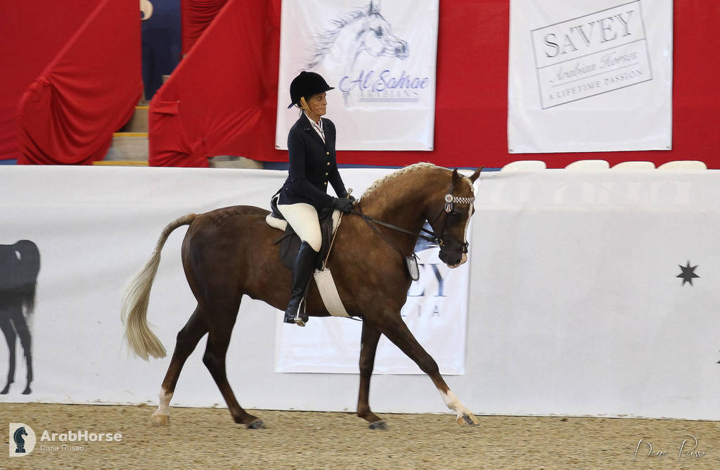 Australian Arabian National Championships 2018