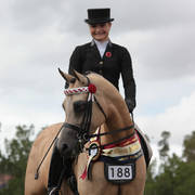 Australian Arabian National Championships 2018