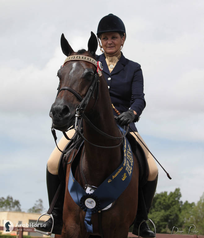 Australian Arabian National Championships 2018