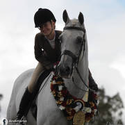 Australian Arabian National Championships 2018