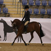 Australian Arabian National Championships 2018