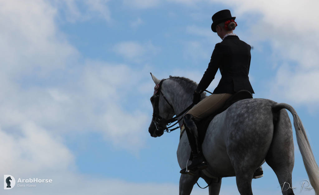 Australian Arabian National Championships 2018