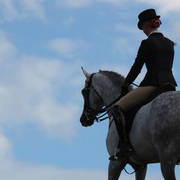 Australian Arabian National Championships 2018