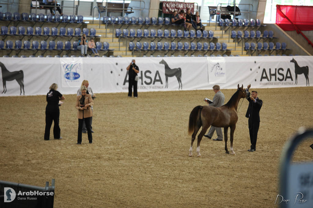 Australian Arabian National Championships 2018