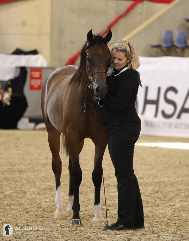 Australian Arabian National Championships 2018