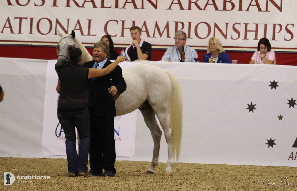 Australian Arabian National Championships 2018