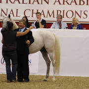 Australian Arabian National Championships 2018