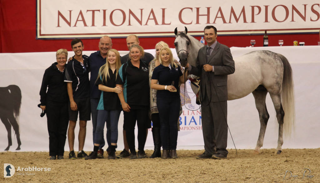 Australian Arabian National Championships 2018