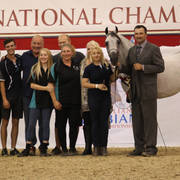 Australian Arabian National Championships 2018