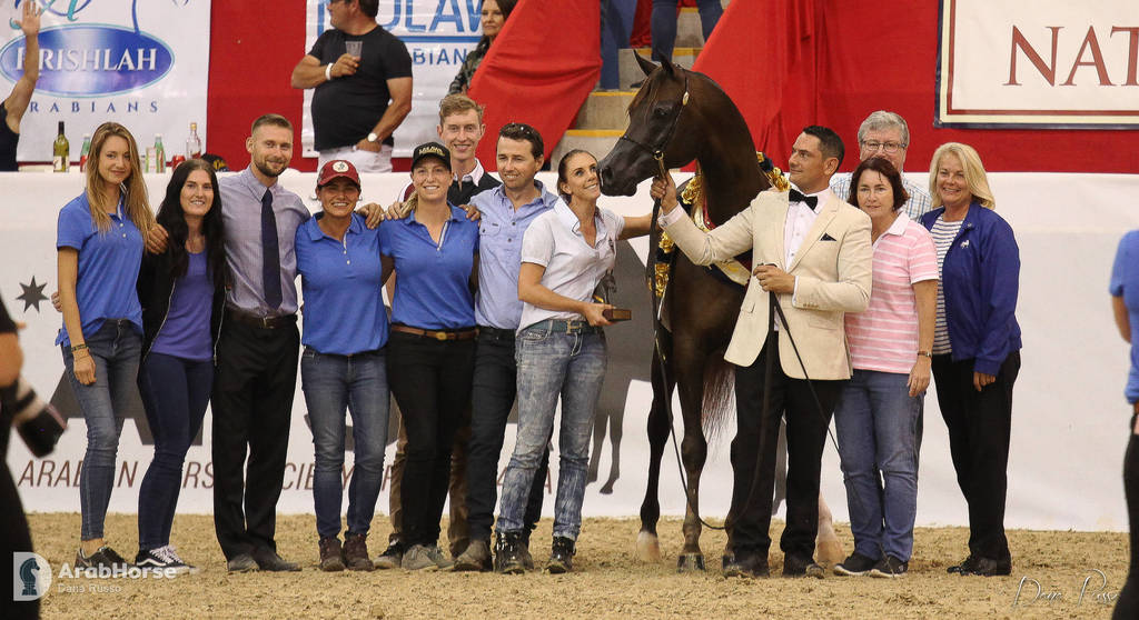 Australian Arabian National Championships 2018