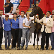 Australian Arabian National Championships 2018