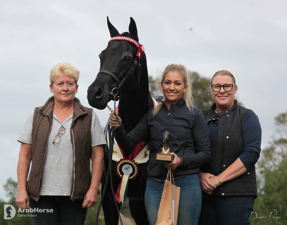 Australian Arabian National Championships 2018