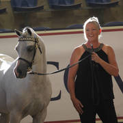 Australian Arabian National Championships 2018