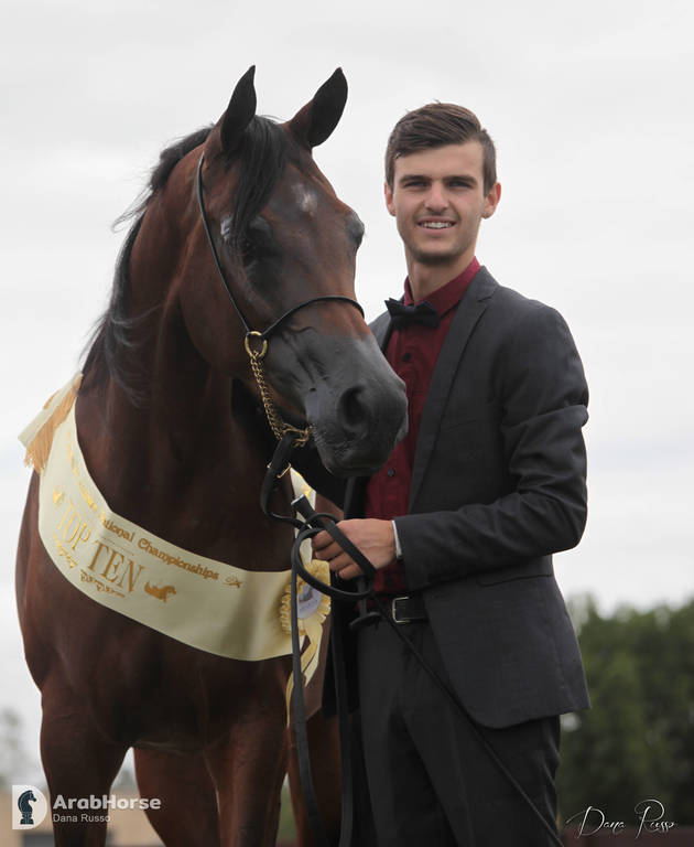 Australian Arabian National Championships 2018