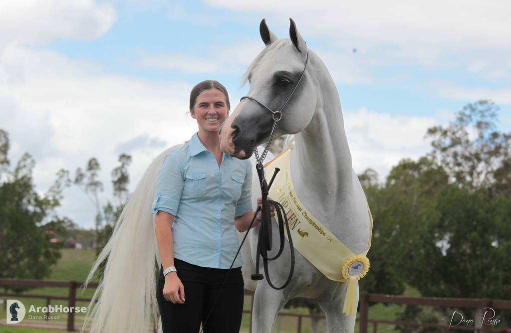 Australian Arabian National Championships 2018