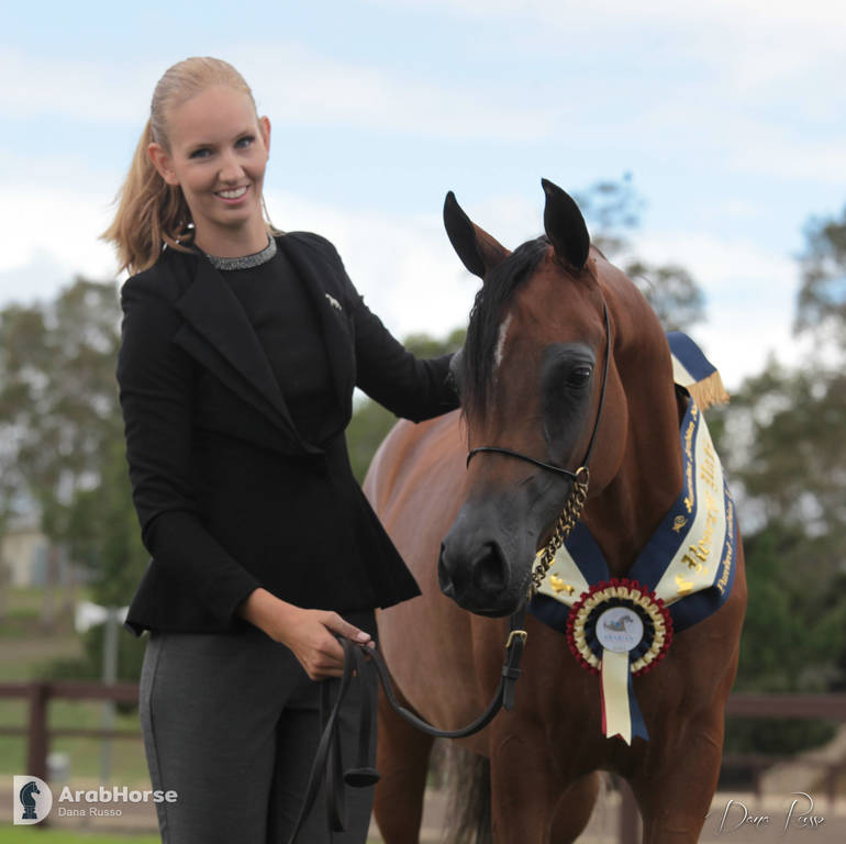 Australian Arabian National Championships 2018