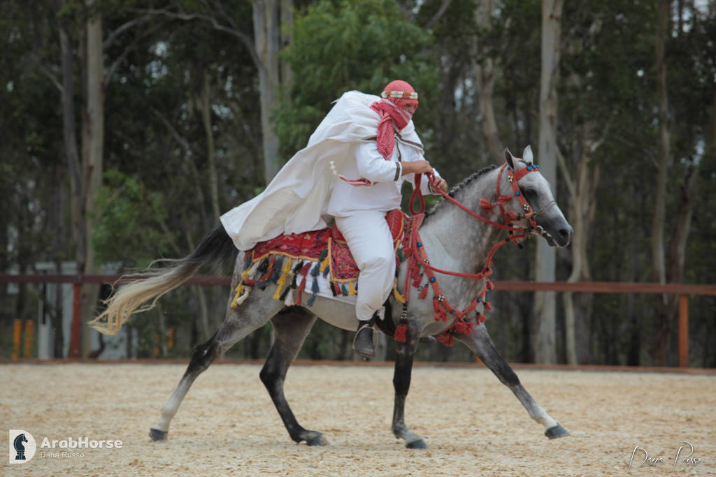 Australian Arabian National Championships 2018