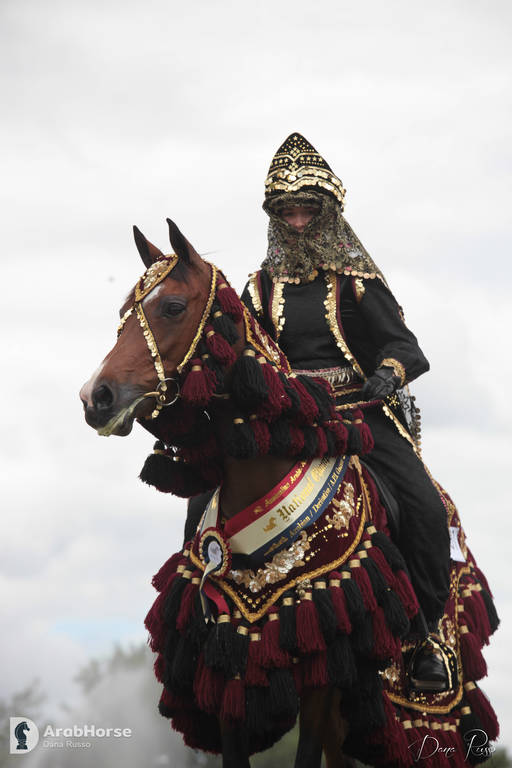 Australian Arabian National Championships 2018