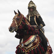 Australian Arabian National Championships 2018