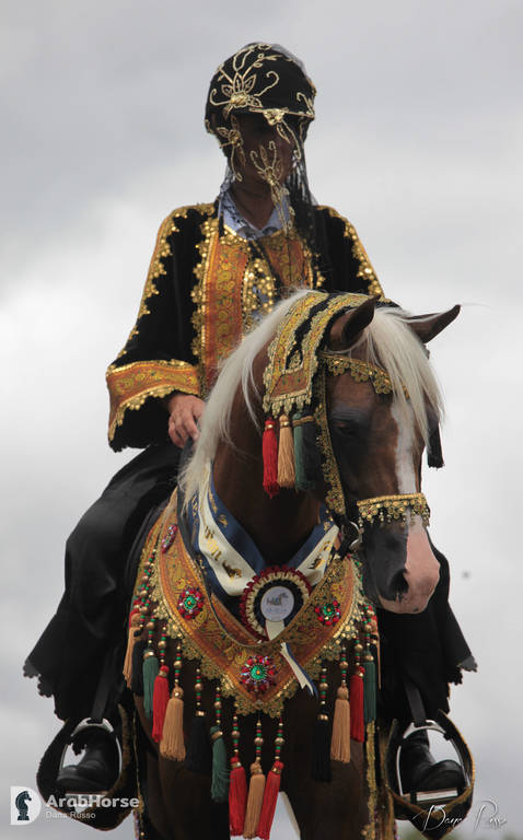 Australian Arabian National Championships 2018