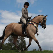 Australian Arabian National Championships 2018