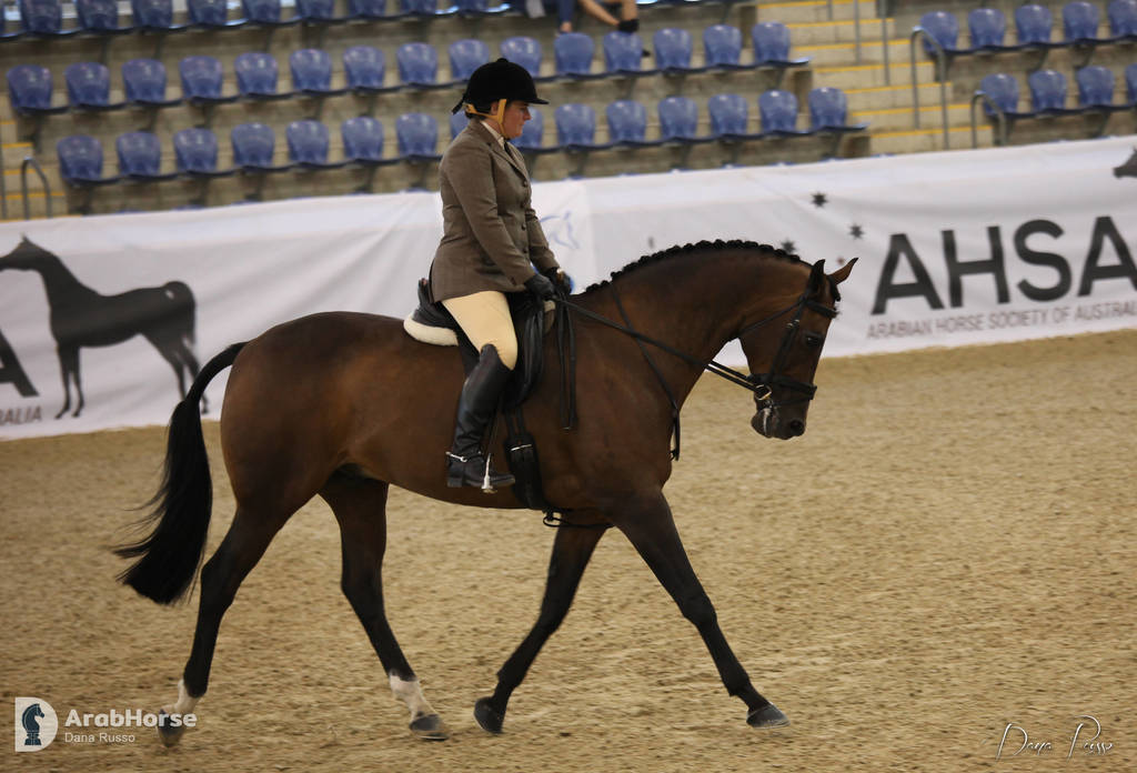 Australian Arabian National Championships 2018