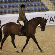 Australian Arabian National Championships 2018
