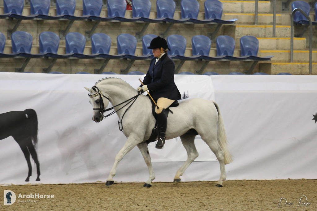 Australian Arabian National Championships 2018