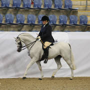 Australian Arabian National Championships 2018