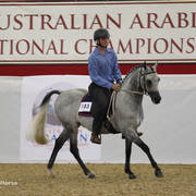 Australian Arabian National Championships 2018