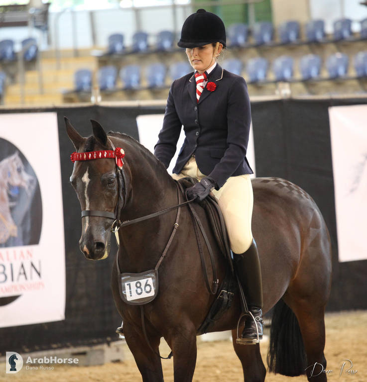 Australian Arabian National Championships 2018