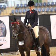 Australian Arabian National Championships 2018