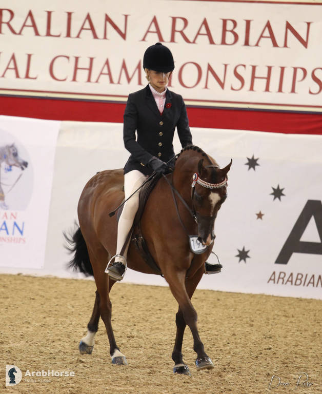 Australian Arabian National Championships 2018