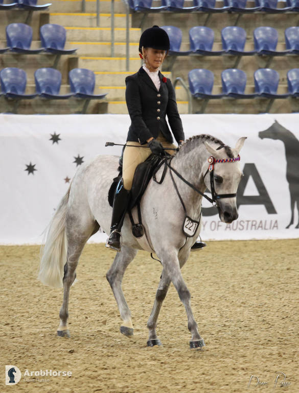 Australian Arabian National Championships 2018