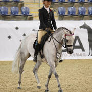 Australian Arabian National Championships 2018