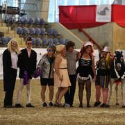 Australian Arabian National Championships 2018