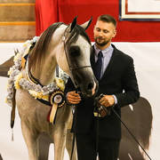 Kasper MI Silver Champion Junior Gelding