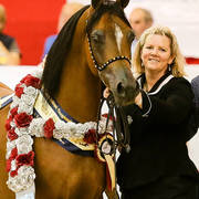 Voyager W Silver Champion Yearling Purebred colt