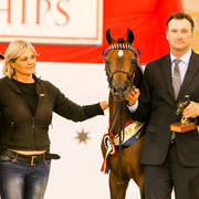 Karma Park Royal Albert with Nikki Gibson Gold Champion Arabian Riding Pony Junior-4