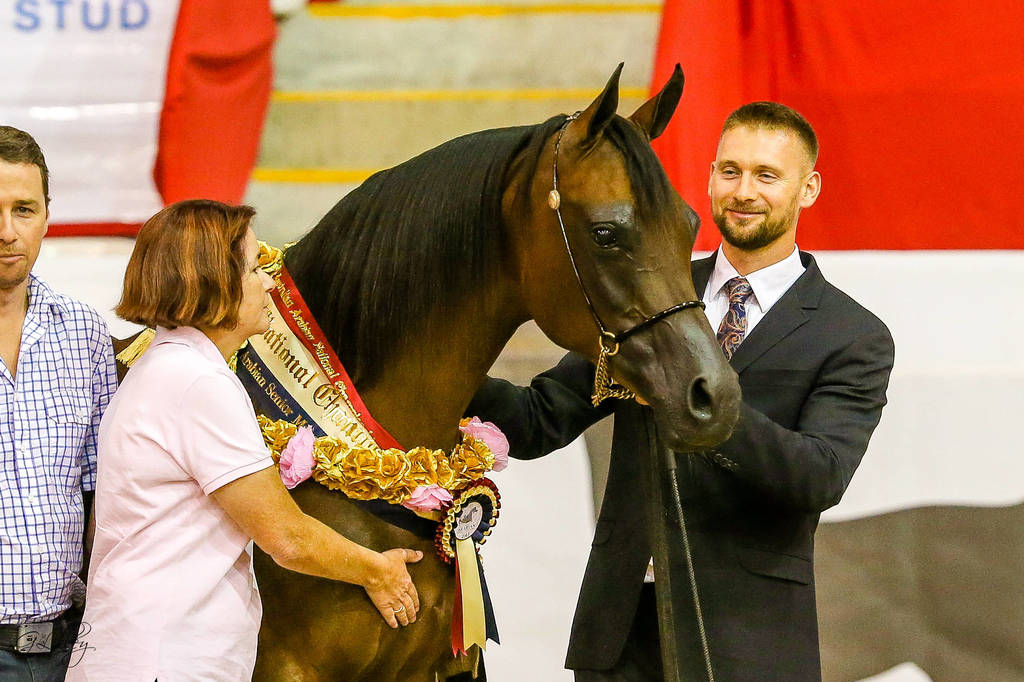 Romance Mi G,J and J Farell